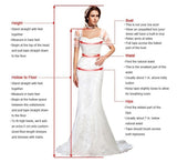 Venetian Serenade Wedding Dress Bridal Beaded Lace Gown